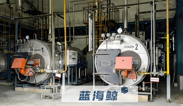 锅炉水处理